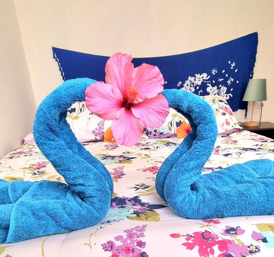 Cabanas Henua Roa 앙가로아 외부 사진